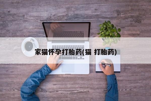 意外怀孕怎么买流产药家猫怀孕打胎药(猫 打胎药)
